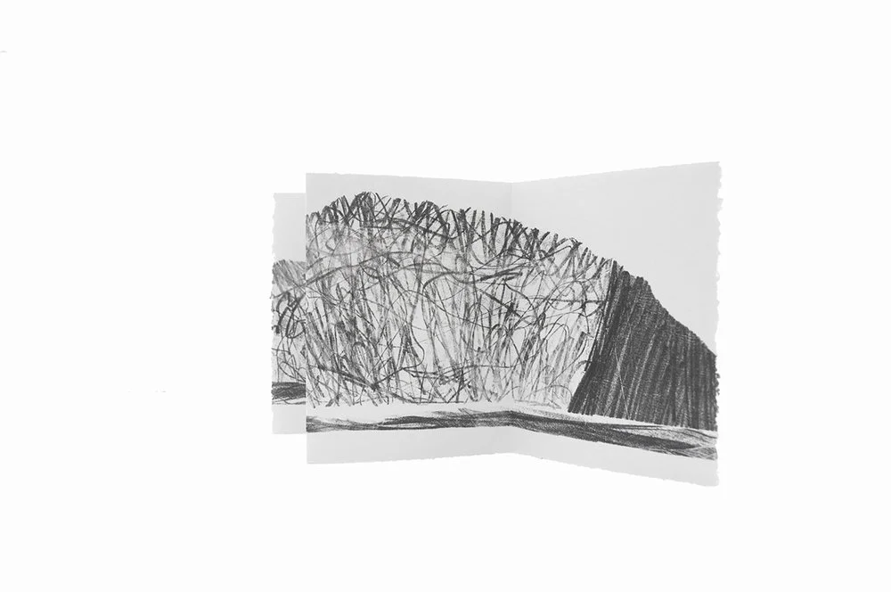 ImaginedLandscapesKaipara4.jpg