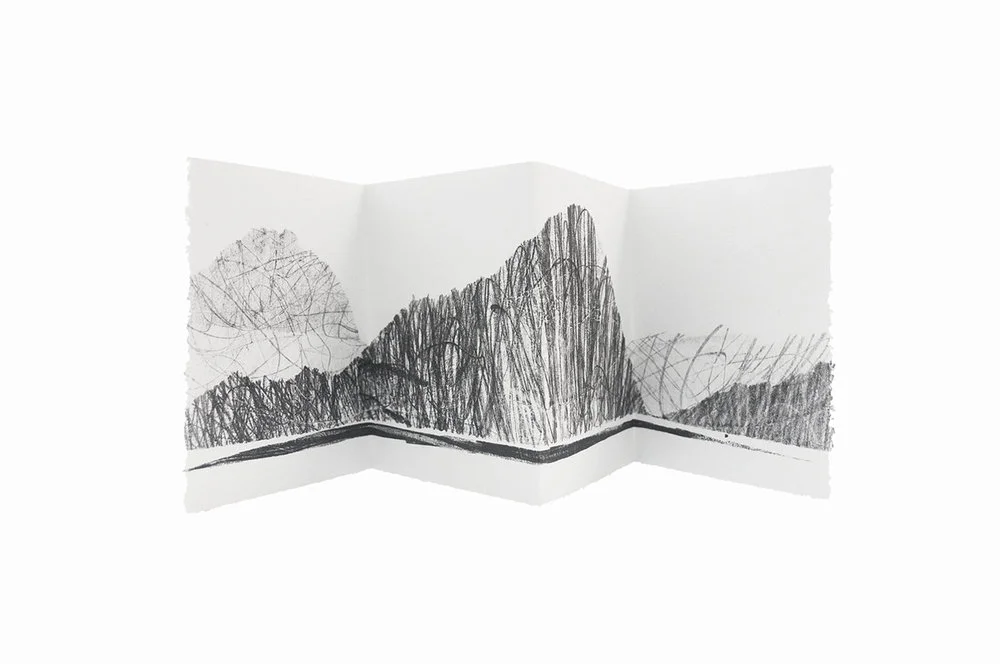 ImaginedLandscapesKaipara5.jpg