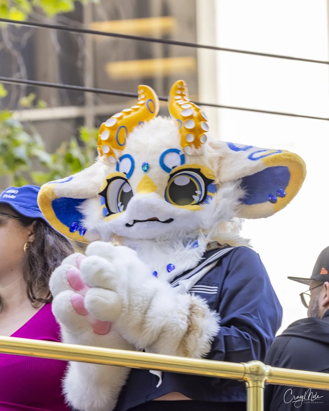  Furry 