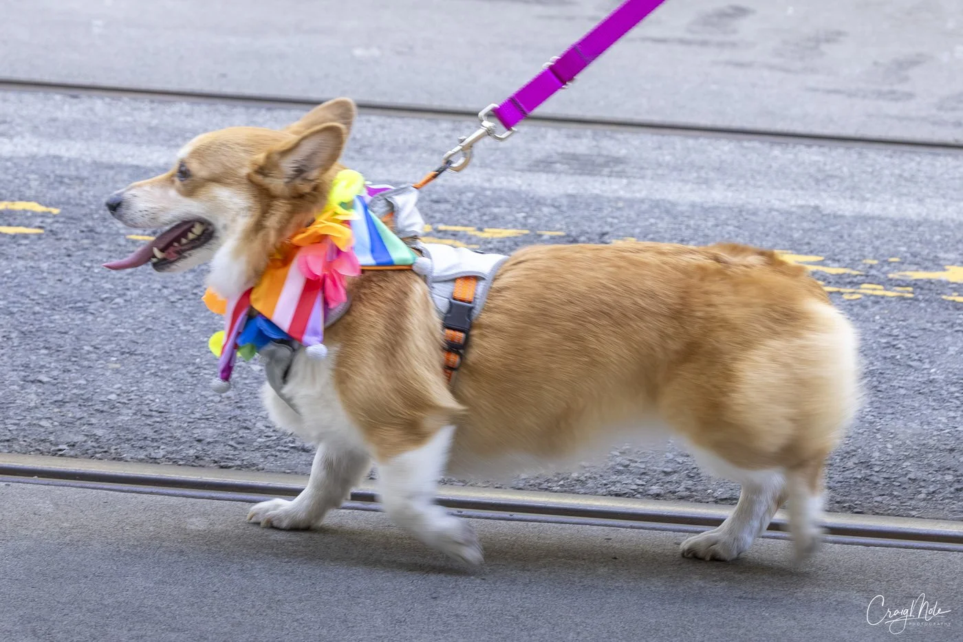 SF Pride 2026-2541.jpg