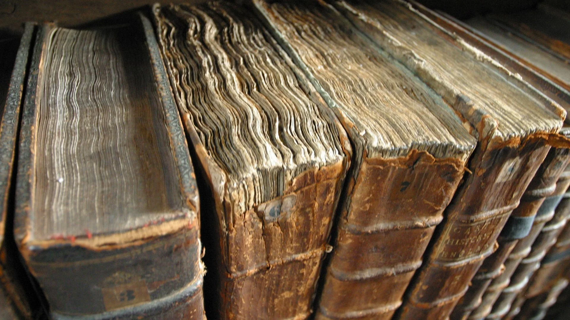 Libros amigos en la librería del barrio