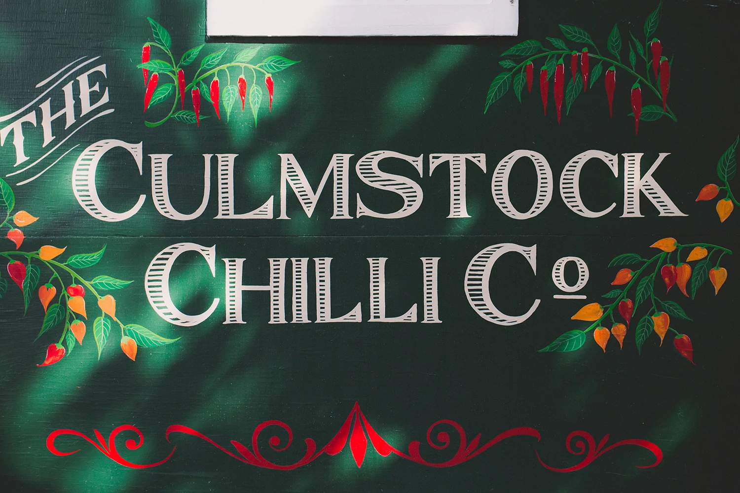 CulmstockChilliCo_024_LR.jpg