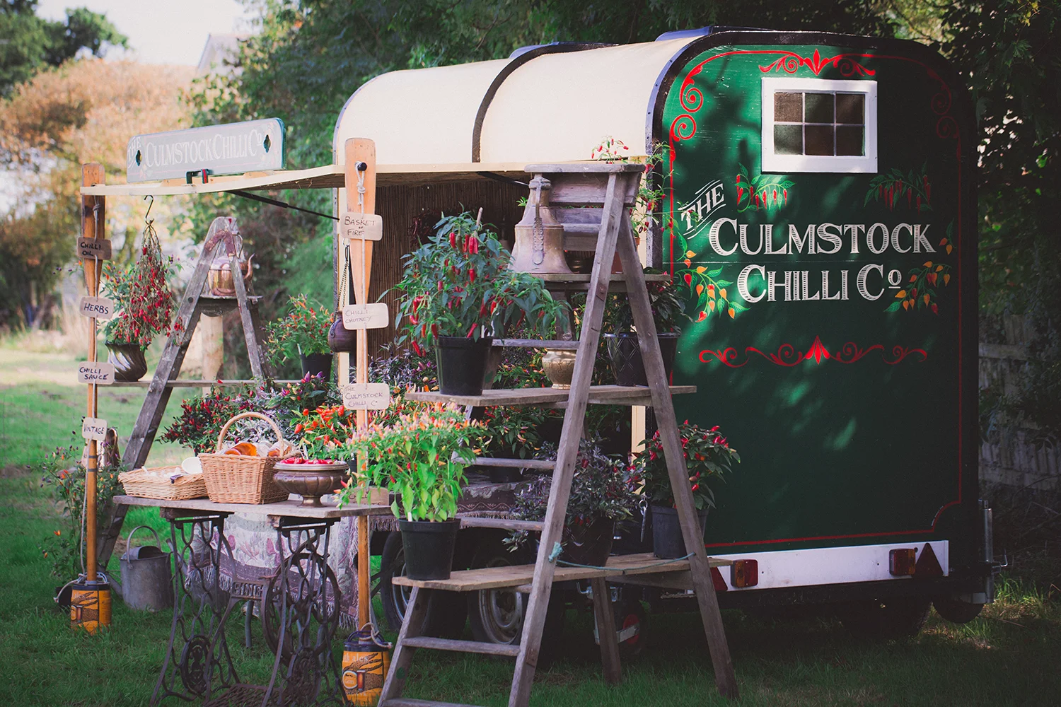 CulmstockChilliCo_023_LR.jpg