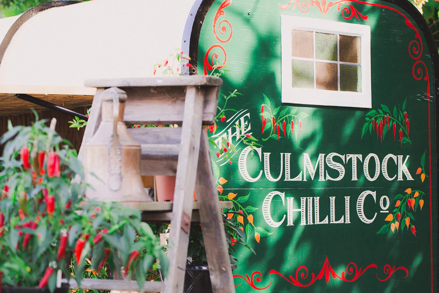 CulmstockChilliCo_030_LR.jpg