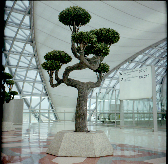 Fake plastic trees, Bangkok Airport