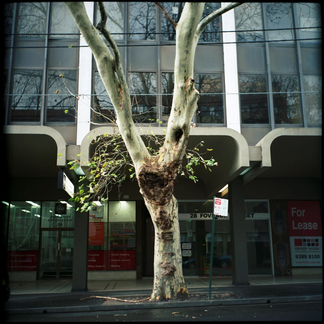 Surry Hills, Sydney