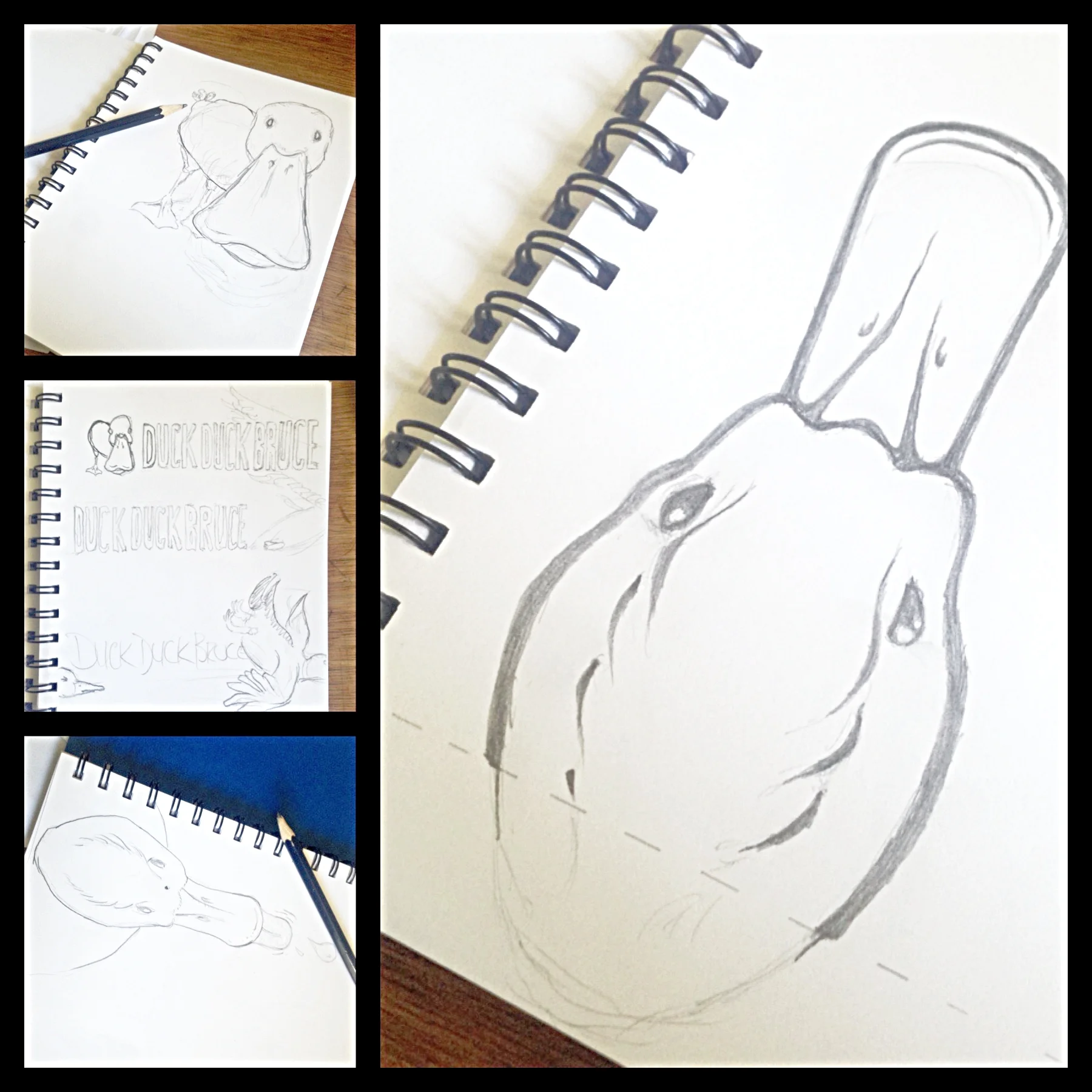 Bruce: The Design Phase