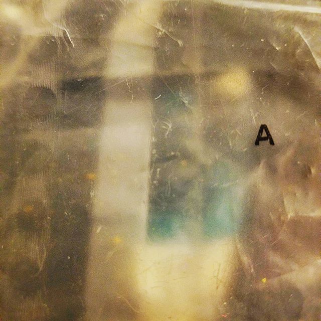 @rottenart 
A+ Plastic
2018

#art #found #trash #layers #surface #artistsoninstagram #depth #insta #photo #textual #contemporaryart #rottenart