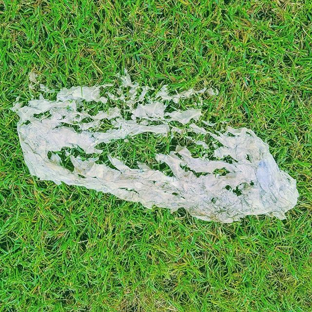 @rottenart 
Paste Pot
2018

#art #found #trash #sculpture #insta #artistsoninstagram #color #contemporaryart #grass #cannabis #canada #facture #latergram #instagood #badart #rottenart