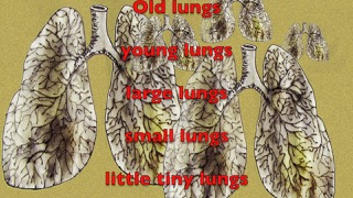 lungs.jpeg