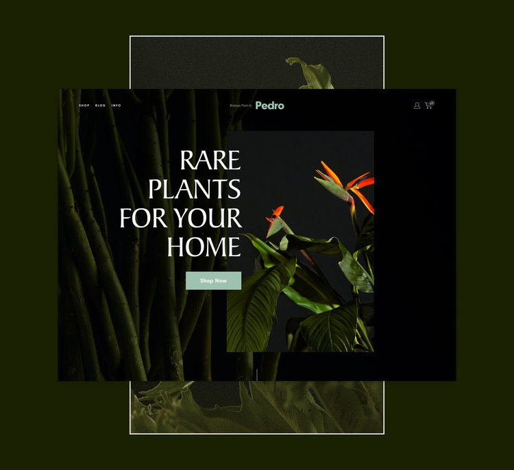 WinterTemplateLaunch_Blog_20171127_Pedro.jpg