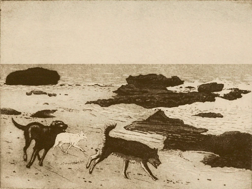 Dogs-at-the-Beach.web_.jpg