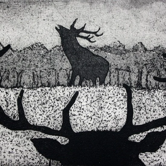 Date for Your Diary! "Black and White" Exhibition Announced