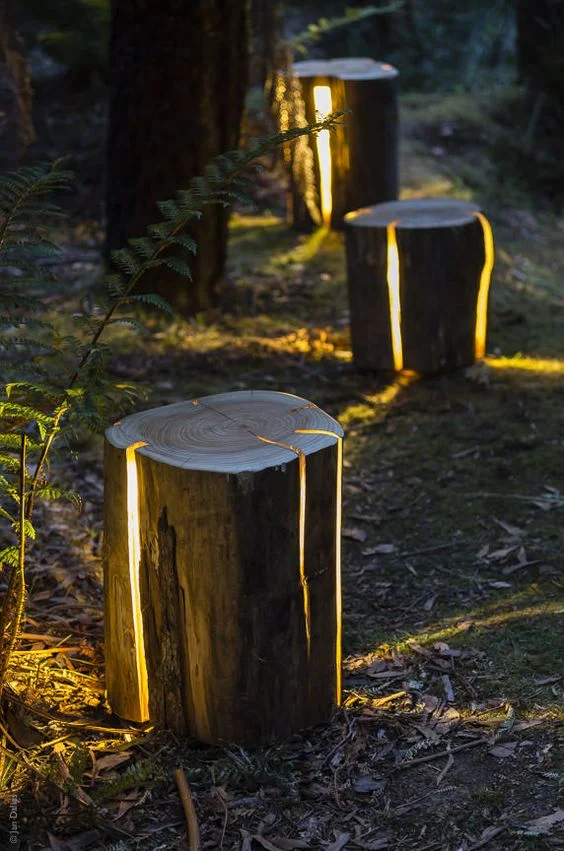LOG LIGHT