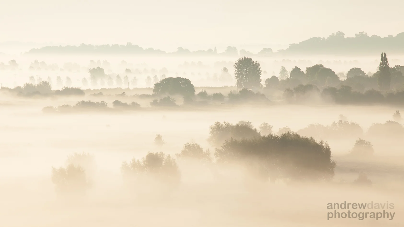 Morning Mist 4_72dpi-1044.jpg