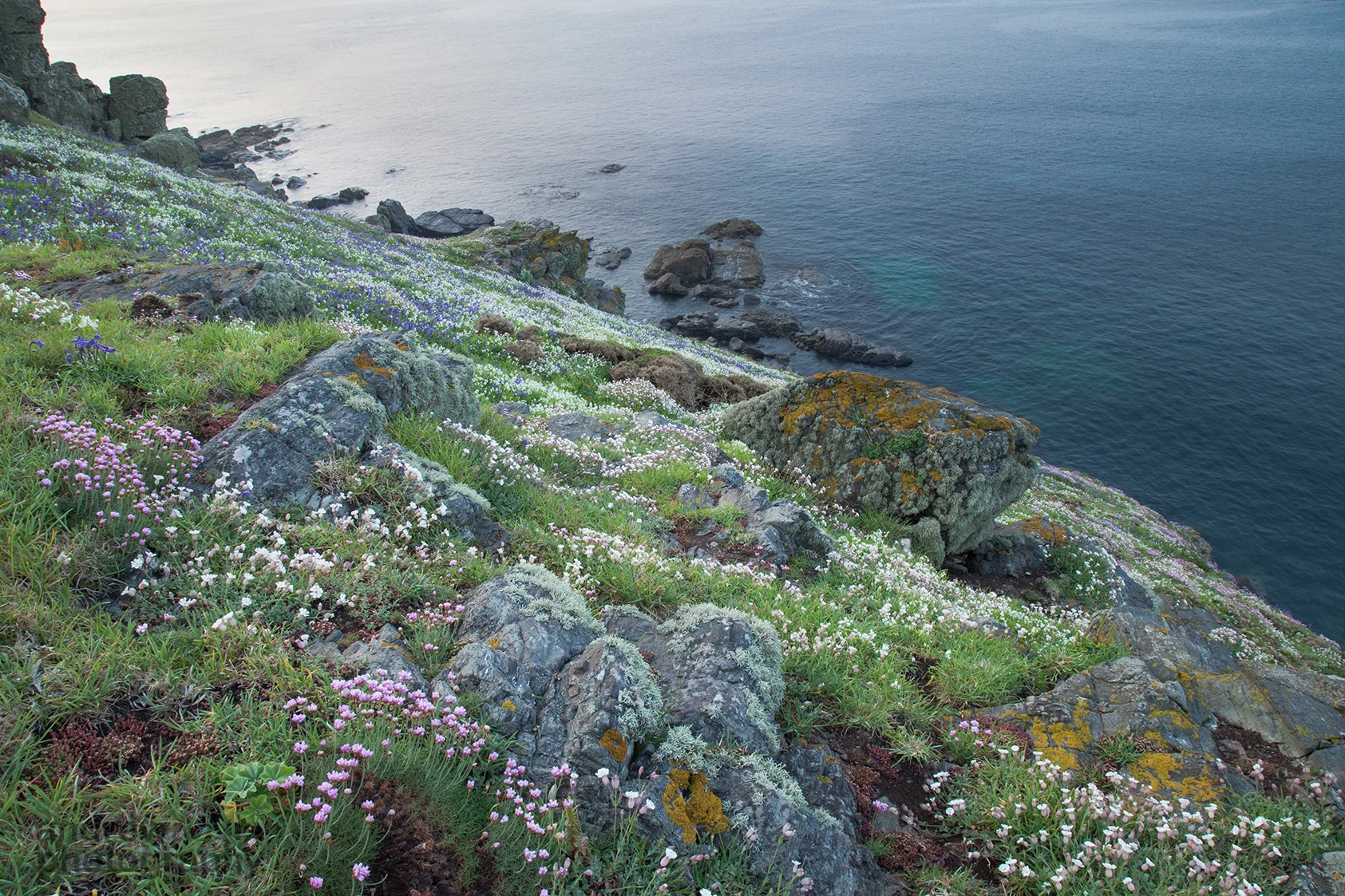Rock Garden 1_72dpi-9750.jpg