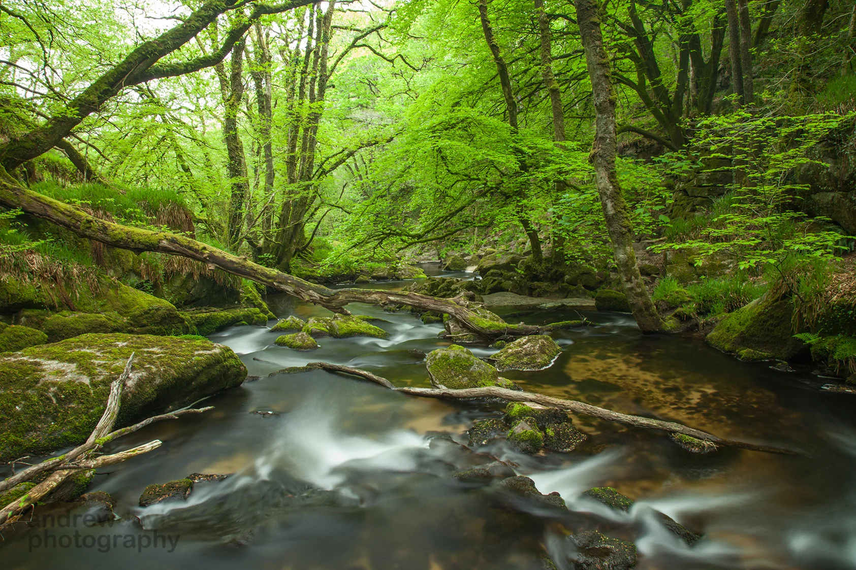 Golitha Falls Stream 5_72dpi-0006.jpg