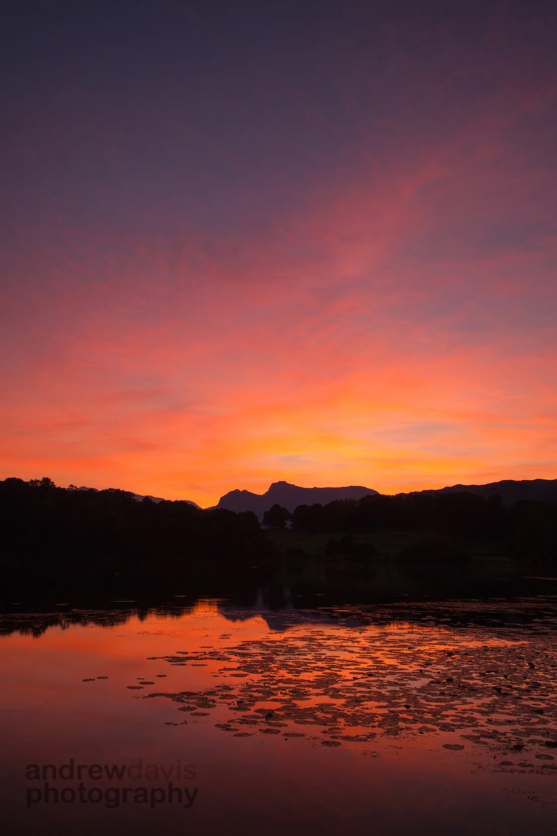 Loughrigg Tarn Sunset 2_72dpi-0771.jpg