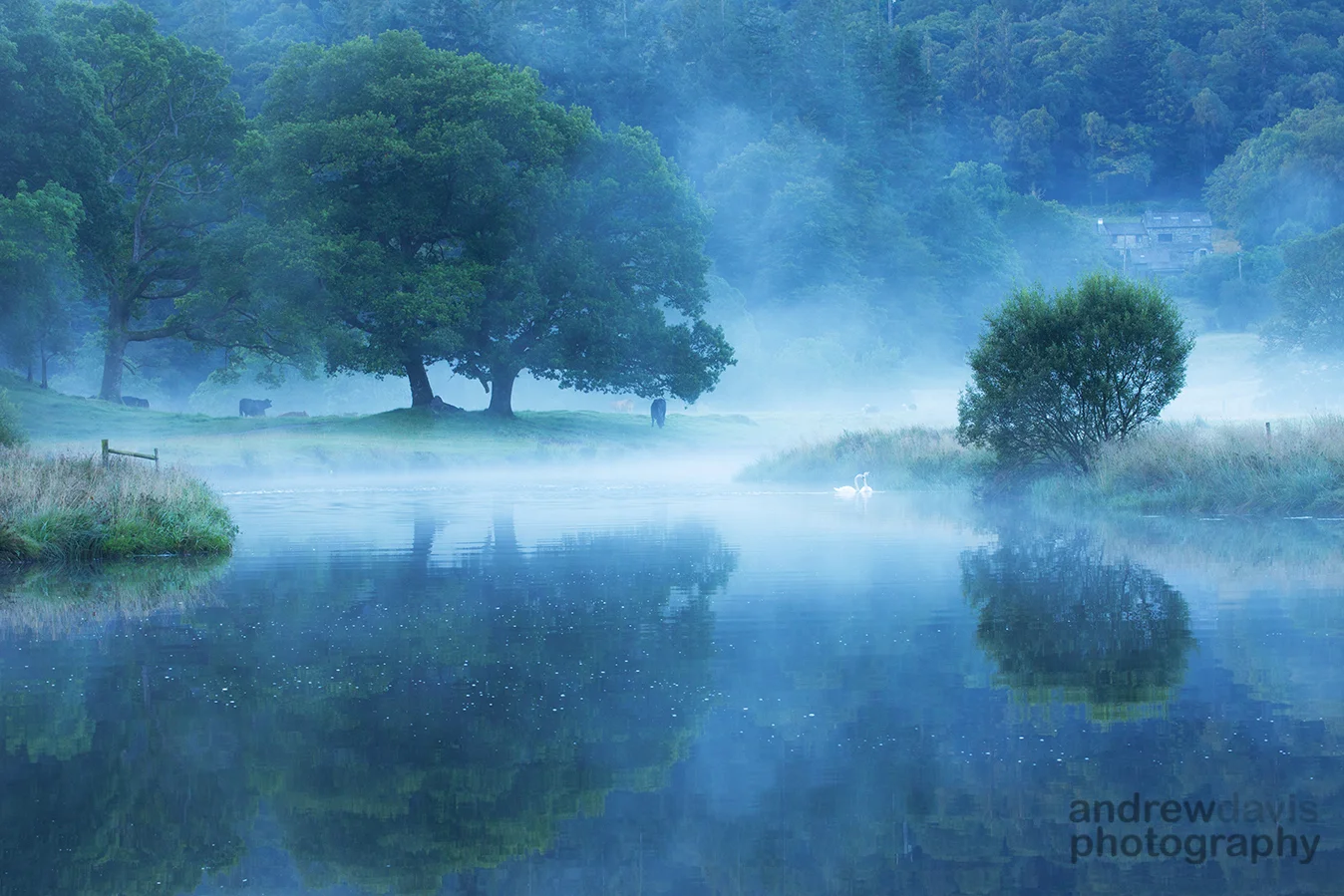 River Brathay 1.1.1_72dpi-5692.jpg