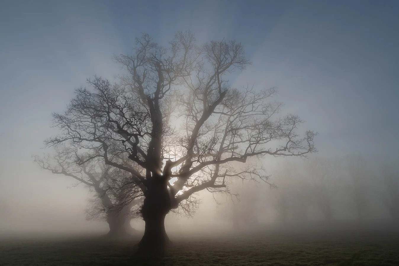 Misty Oaks 11 Colour-9431_72dpi.jpg