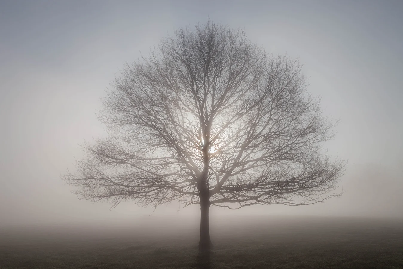 Misty Oaks 6 Colour_72dpi-9436.jpg