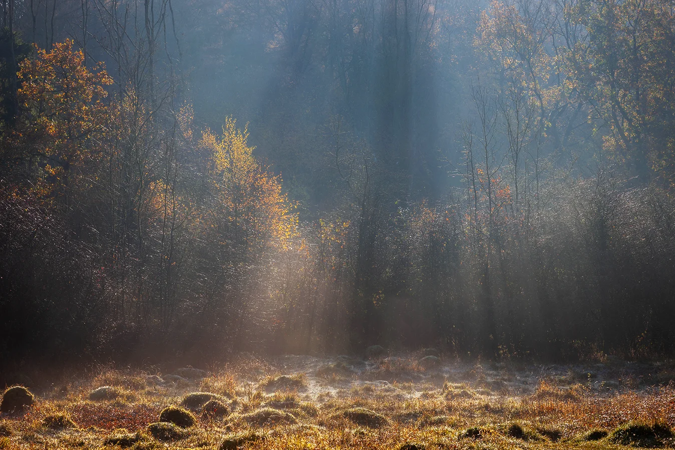 Sunbeam 1.1_orton_72dpi-9239.jpg
