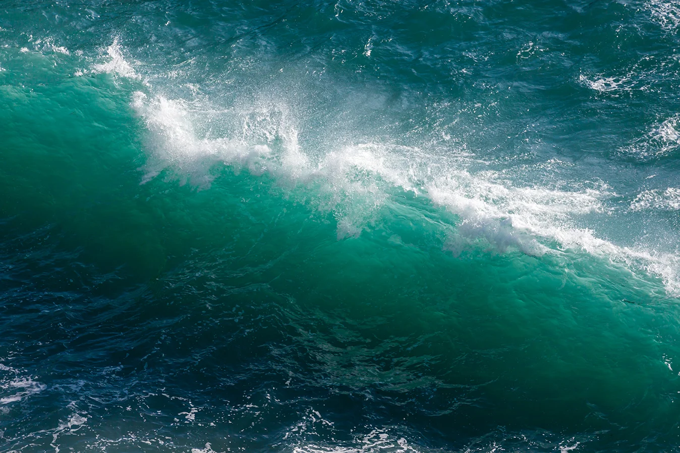 Wave 1_72dpi-7811.jpg
