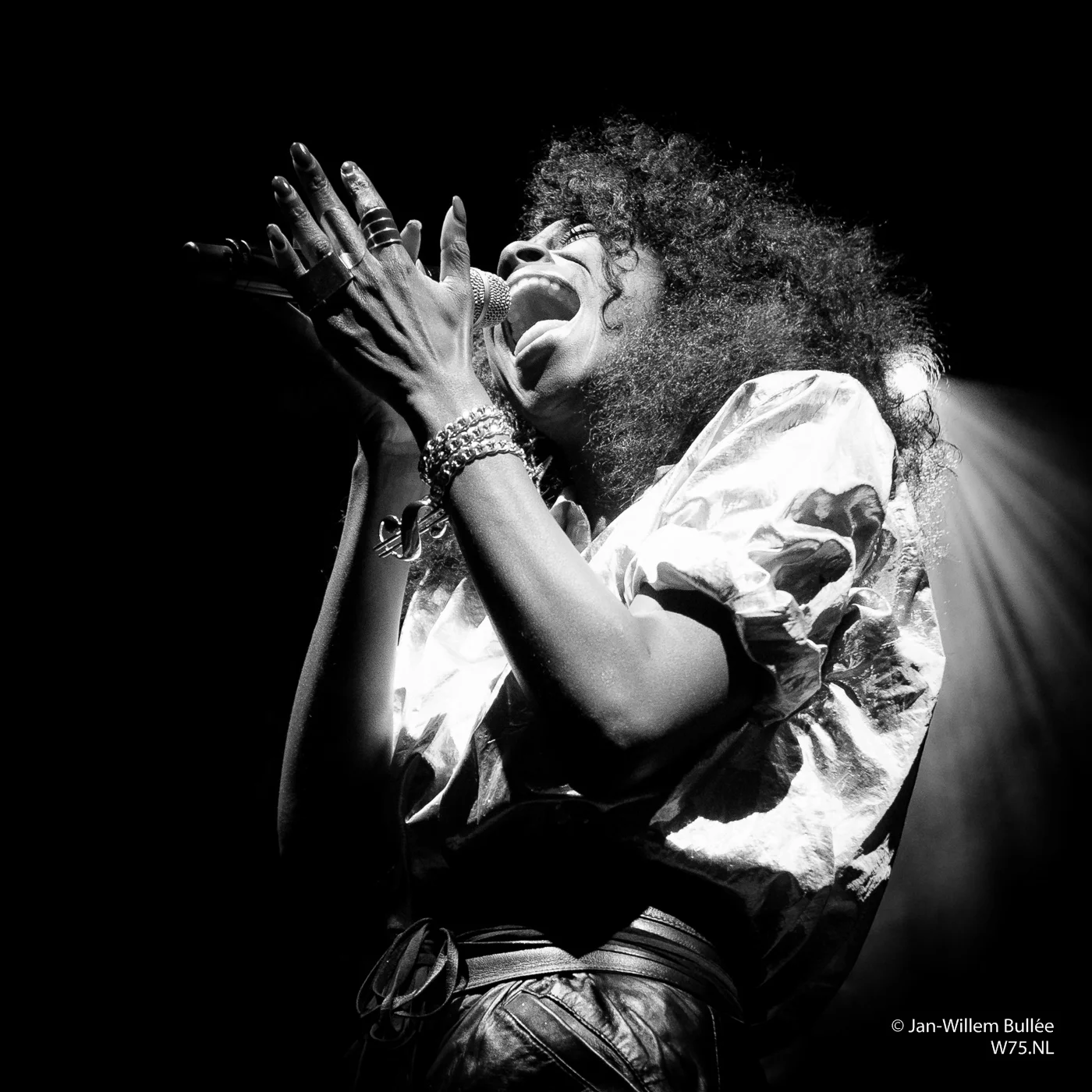 Concert__27_DSF0332.jpg