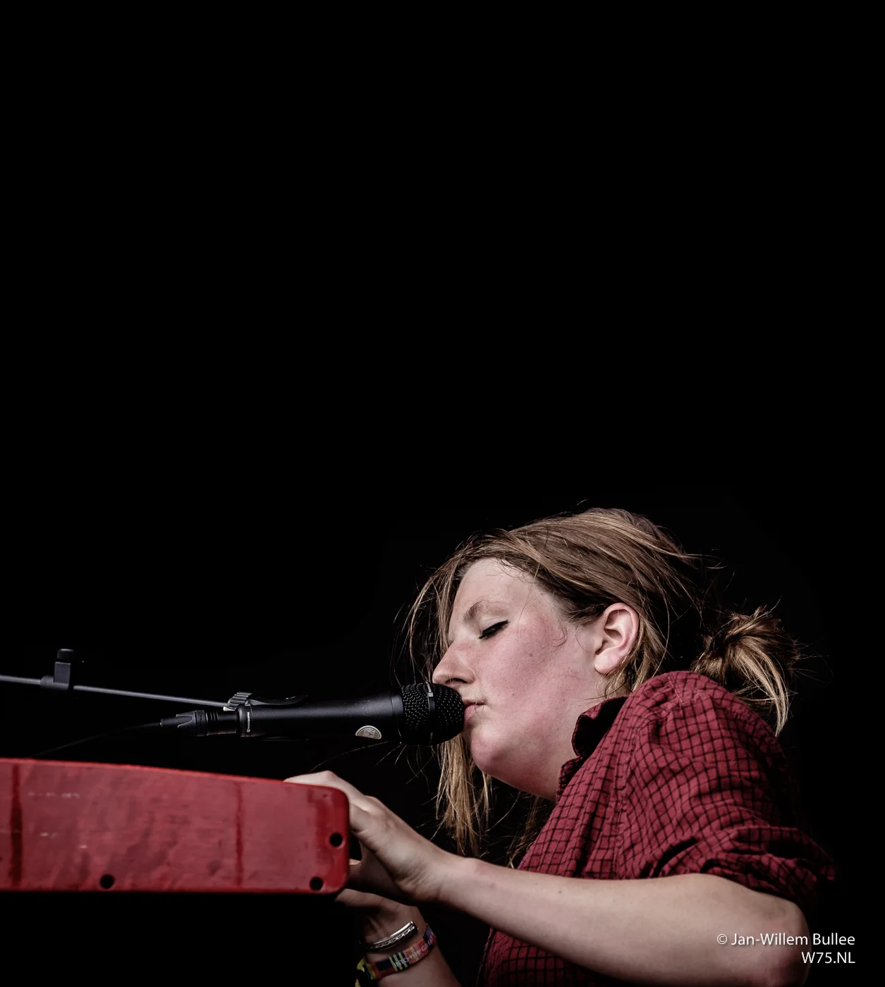 ITGWO_Concert-0271.jpg