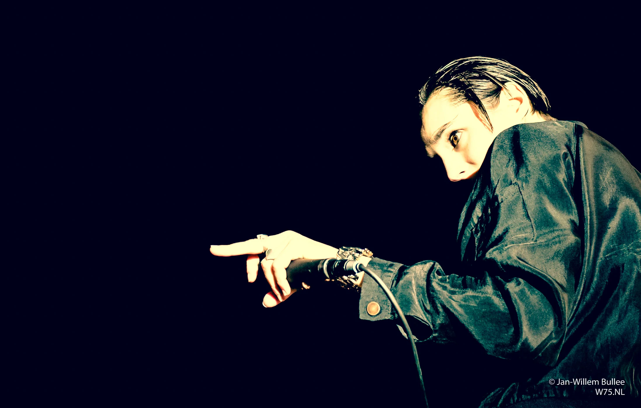 ITGWO_Concert-0374.jpg