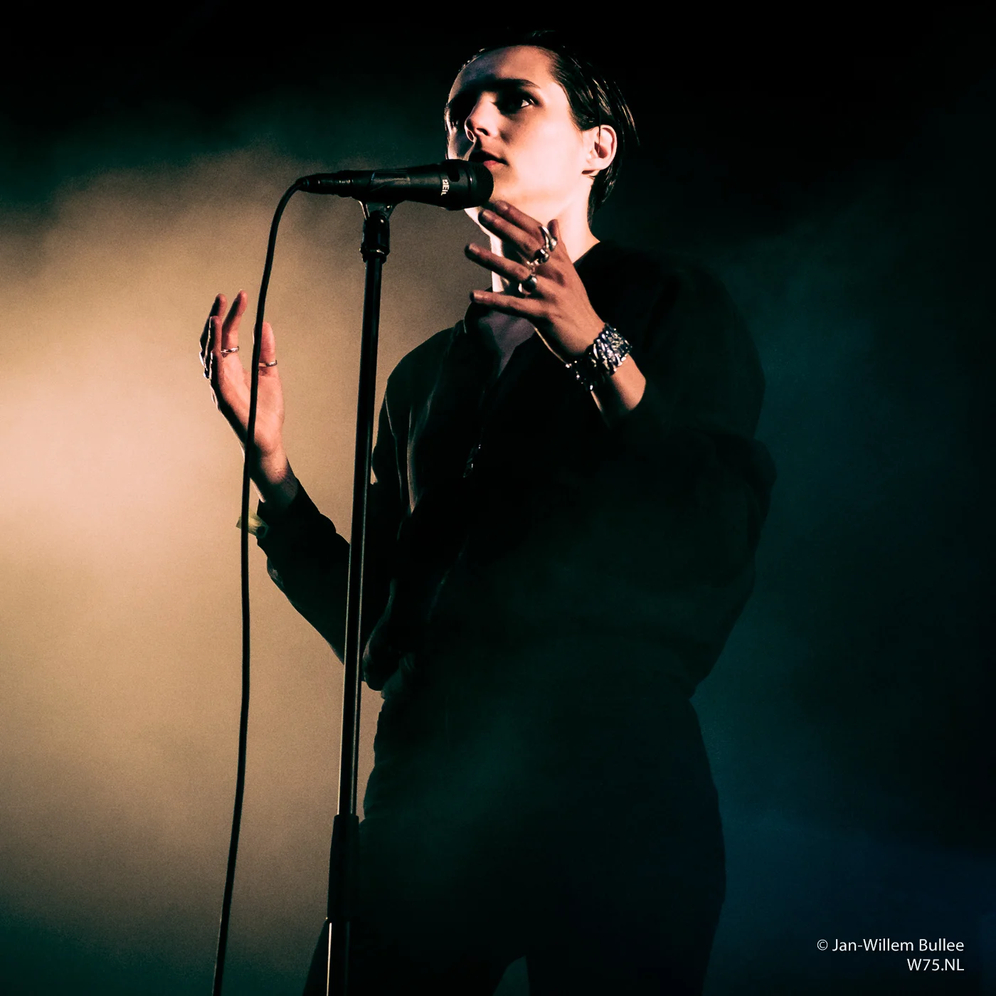 ITGWO_Concert-0440.jpg