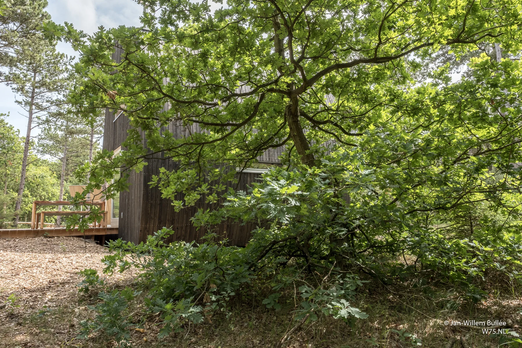 HDR-93.jpg