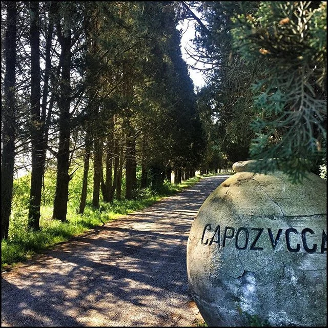 Now I might be getting a bit  lost in translation here, but if &lsquo;capo&rsquo; means head and &lsquo;zucca&rsquo; means pumpkin, them one of my neighbors who I have yet to meet and who lives down this lovely pine-tree-lined lane, is Mr/Mrs Pumpkin