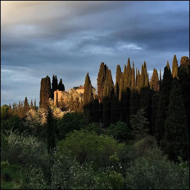 That light, almost horizontal, just before the sun goes down.