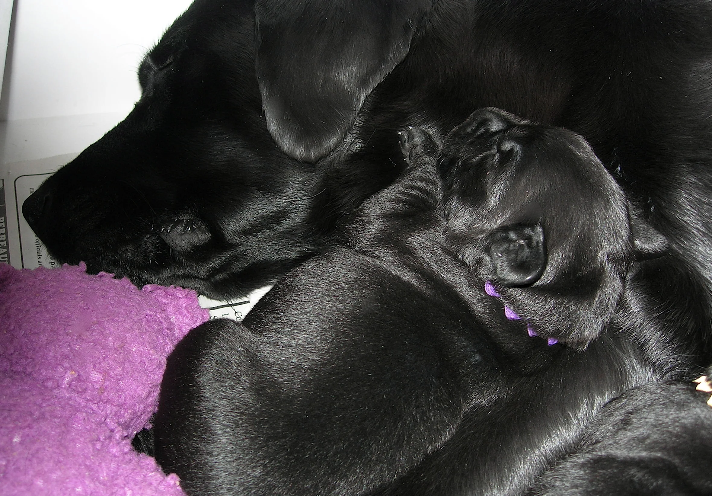 DSCN1579.JPG