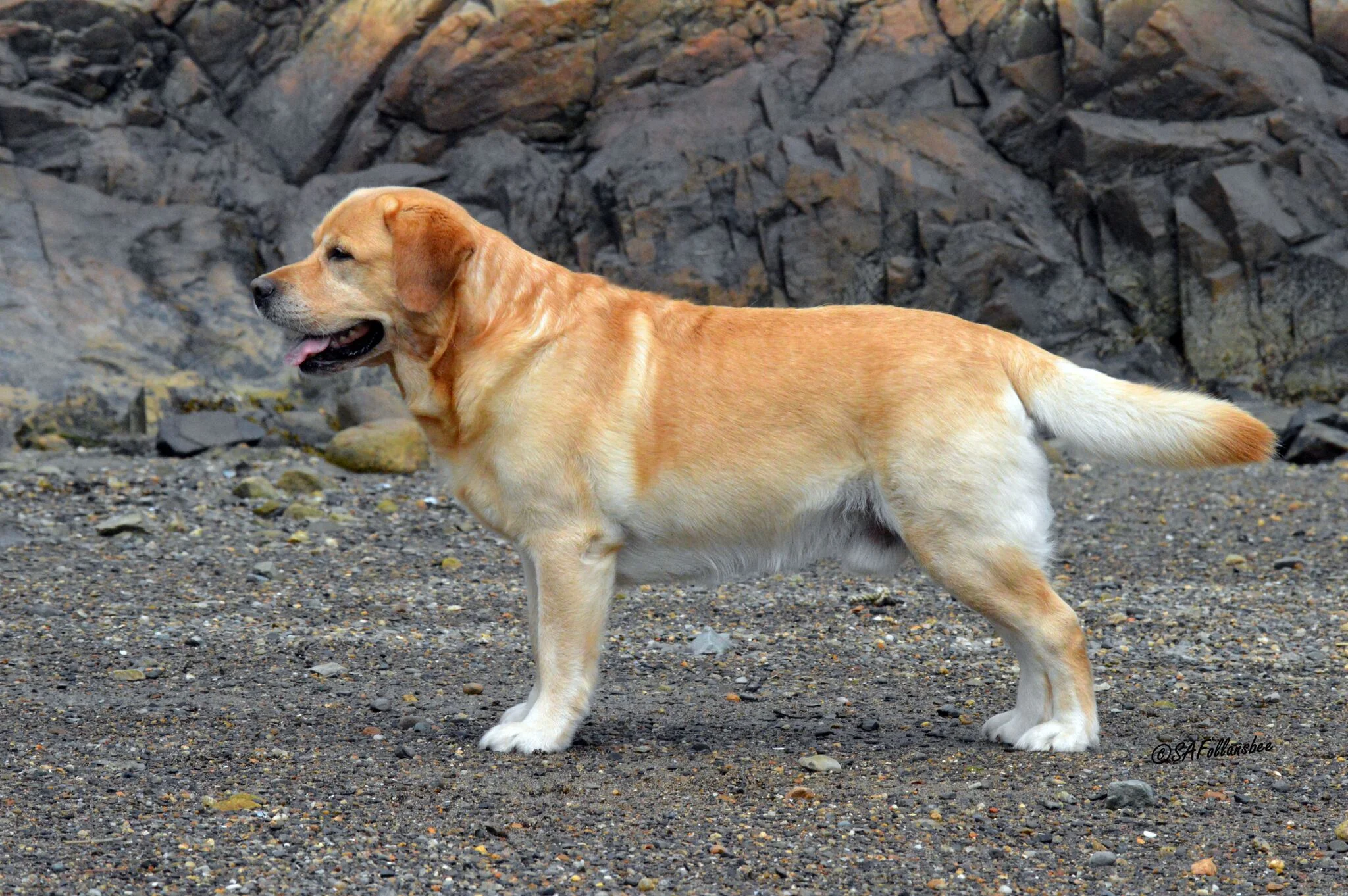 Trueman, 6yrs, Susan Follansbee photograph