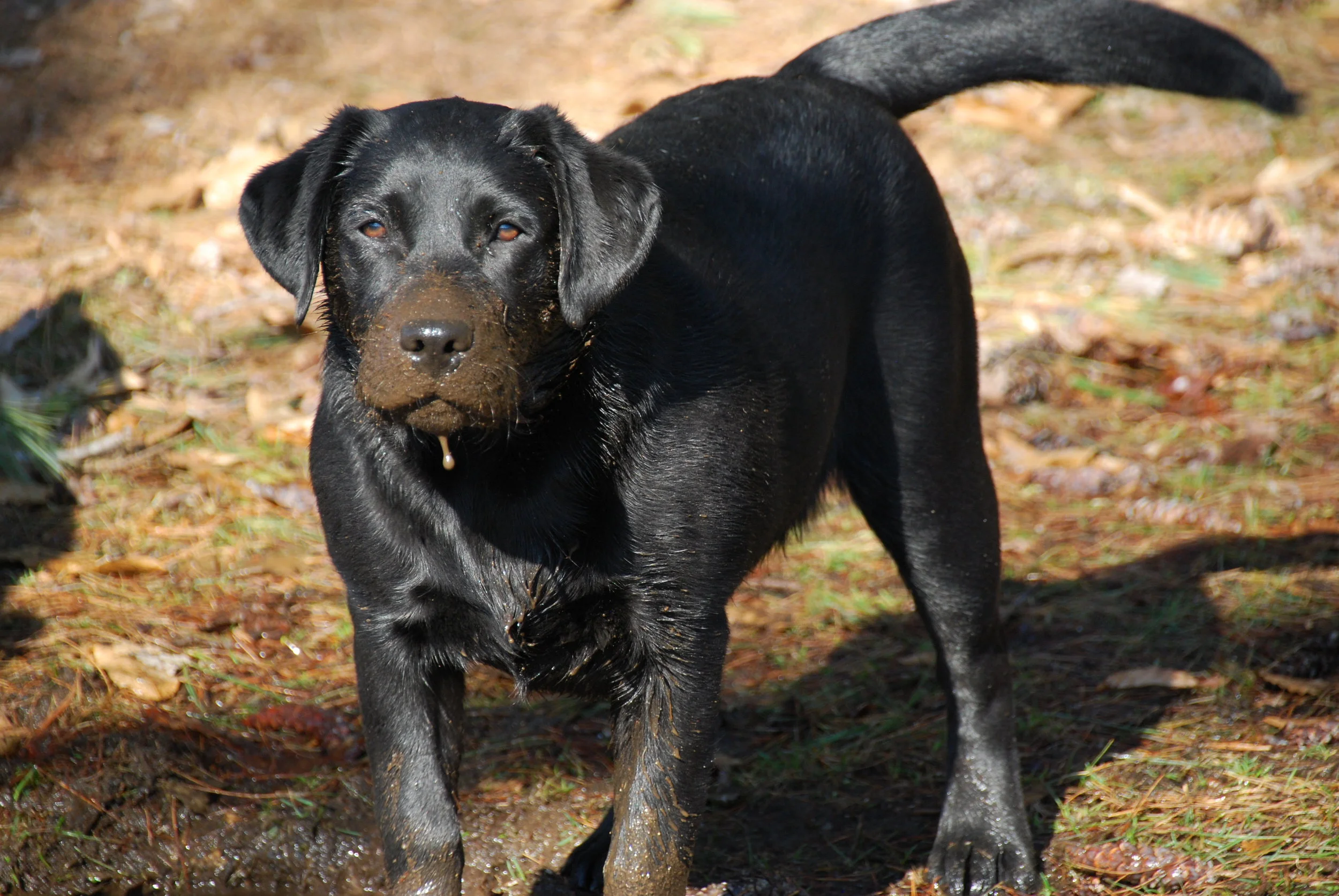 spring! 6 months old