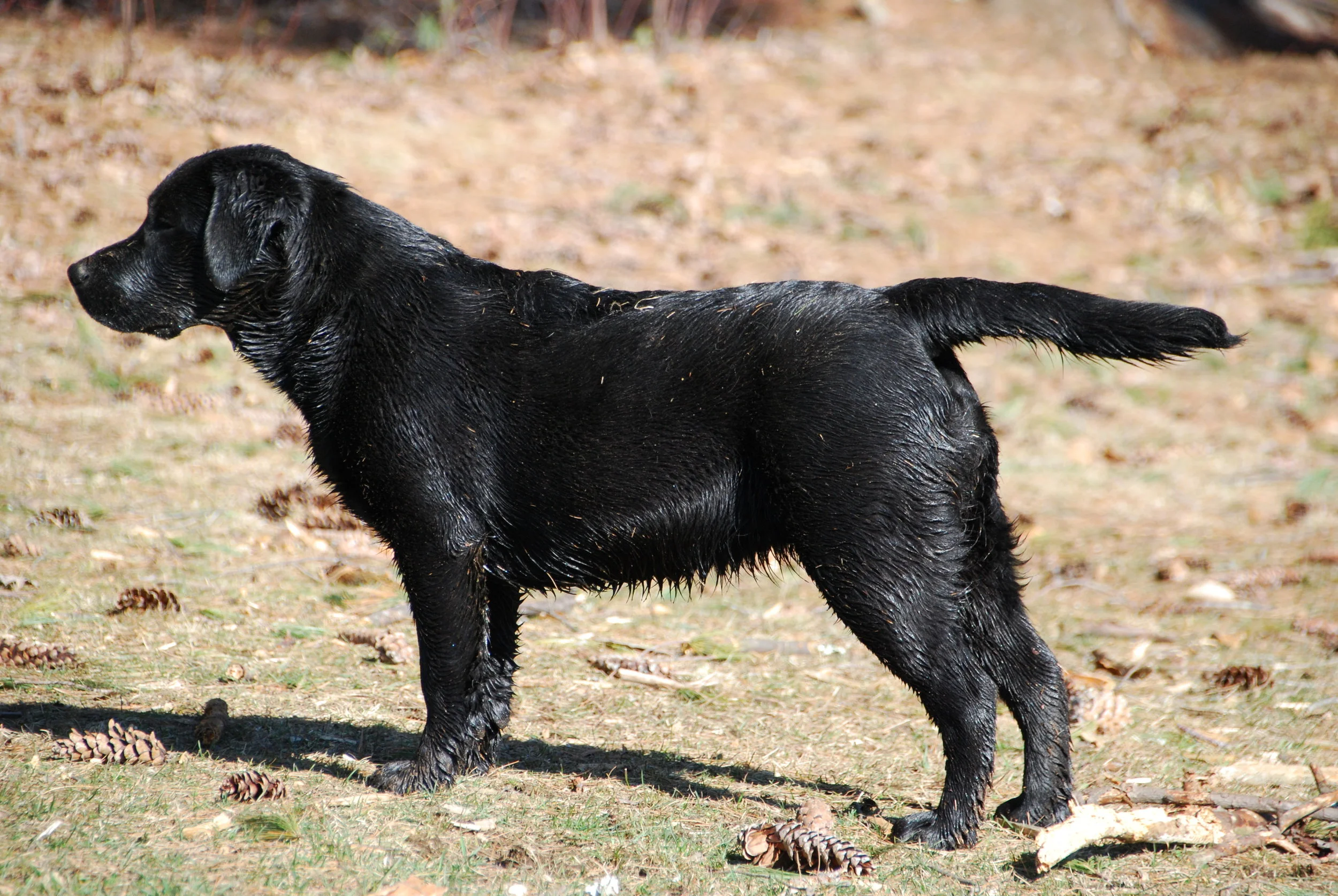 Just turned 6 months