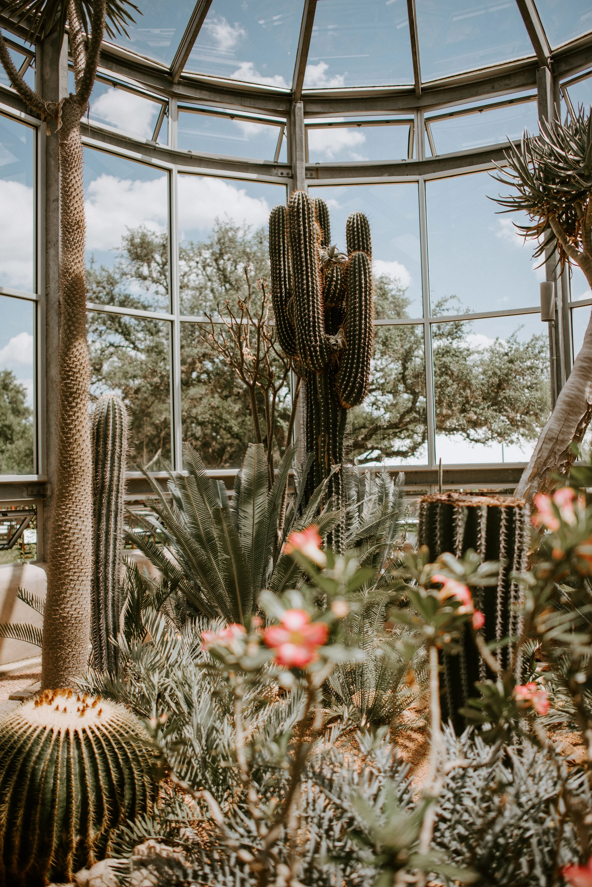 A REVIEW: The Greenhouse at Driftwood