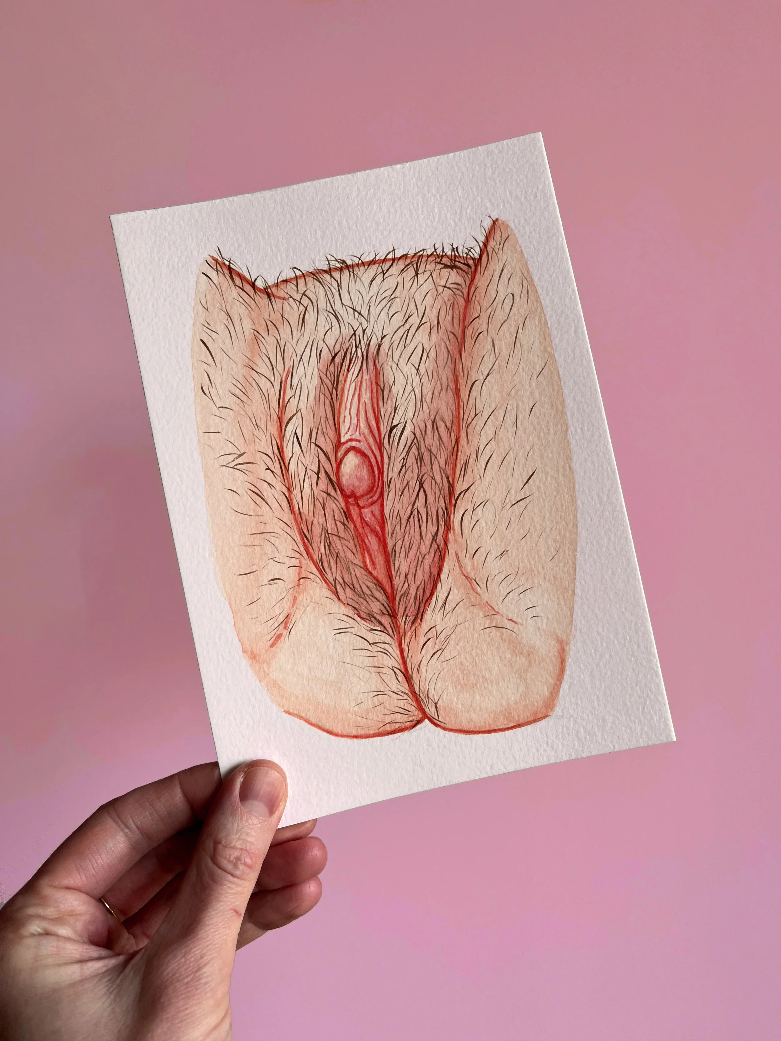 Original – Testosterone vulva 1.1 2.JPG