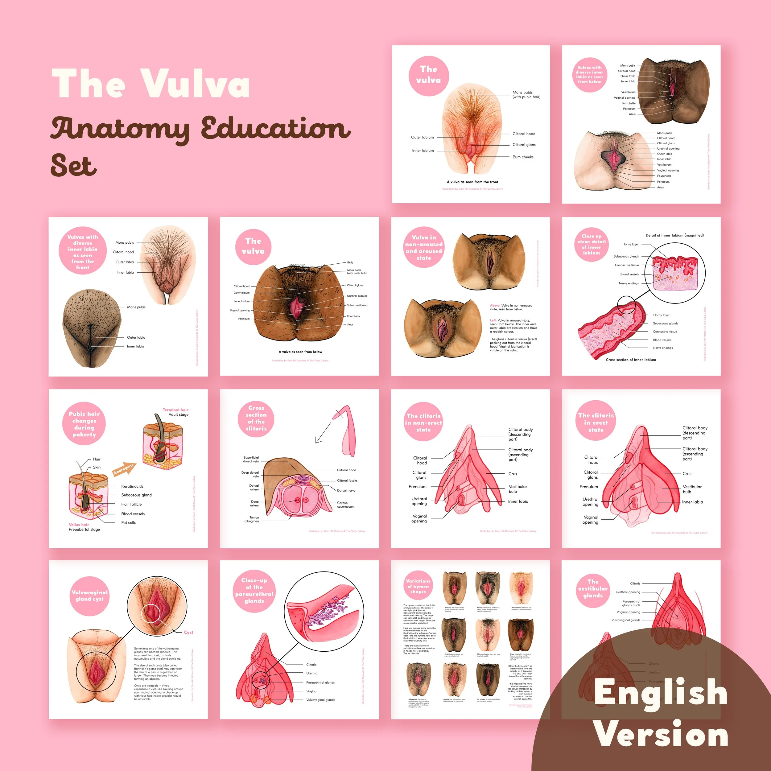 Education Print Set – All prints.jpg