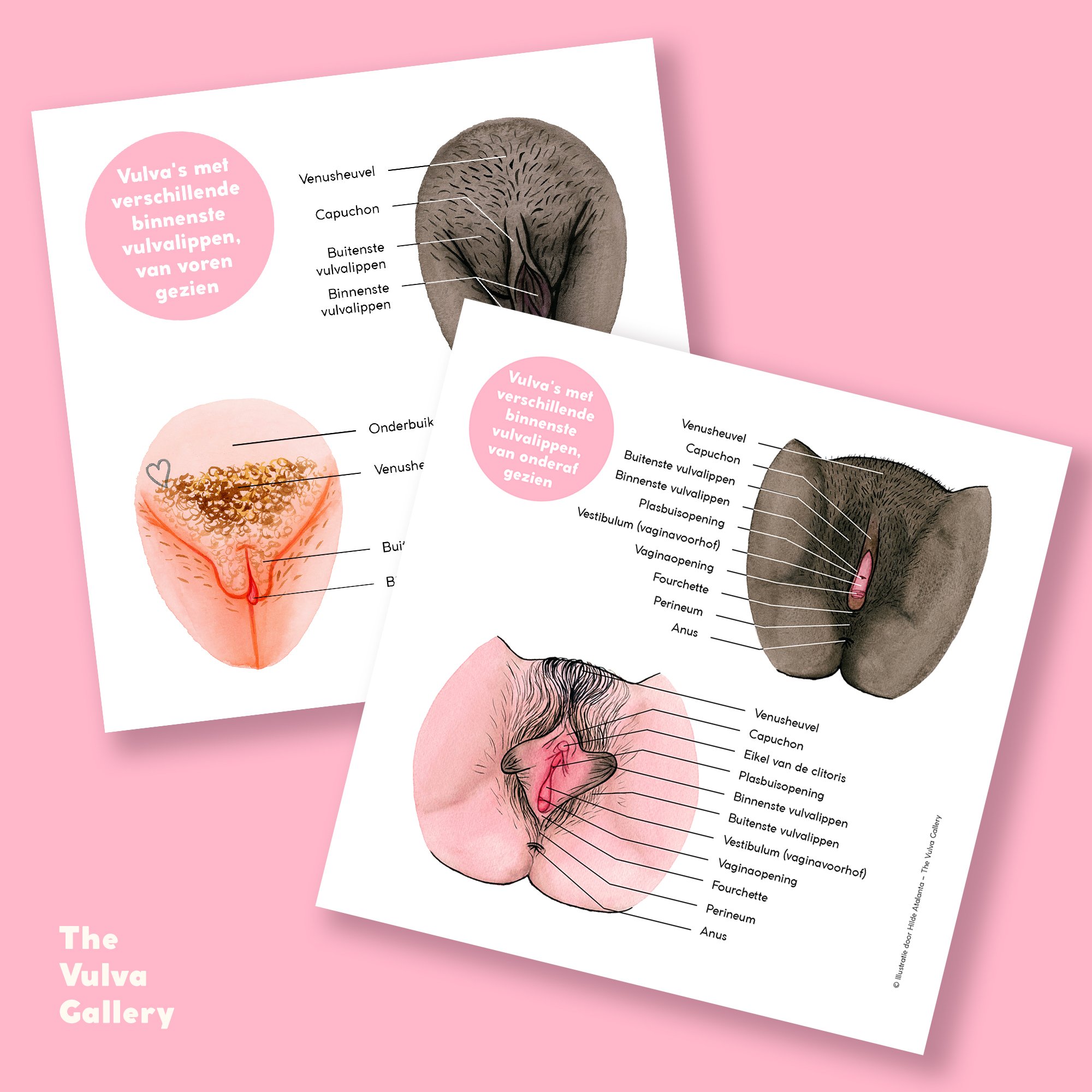 Education Print Set – Image 2 – Nederlands.jpg