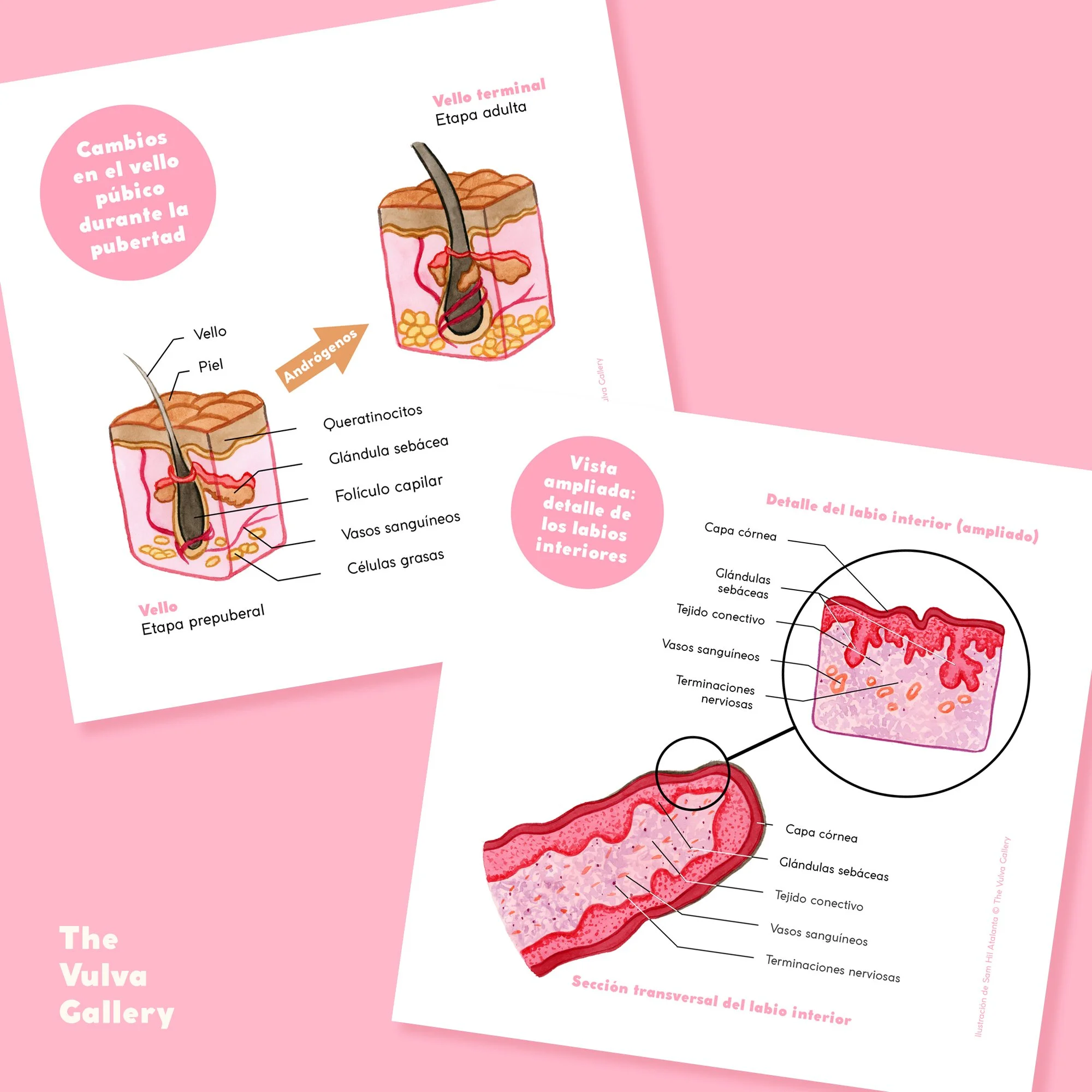 Education Print Set – Image 4 – Spanish.jpg