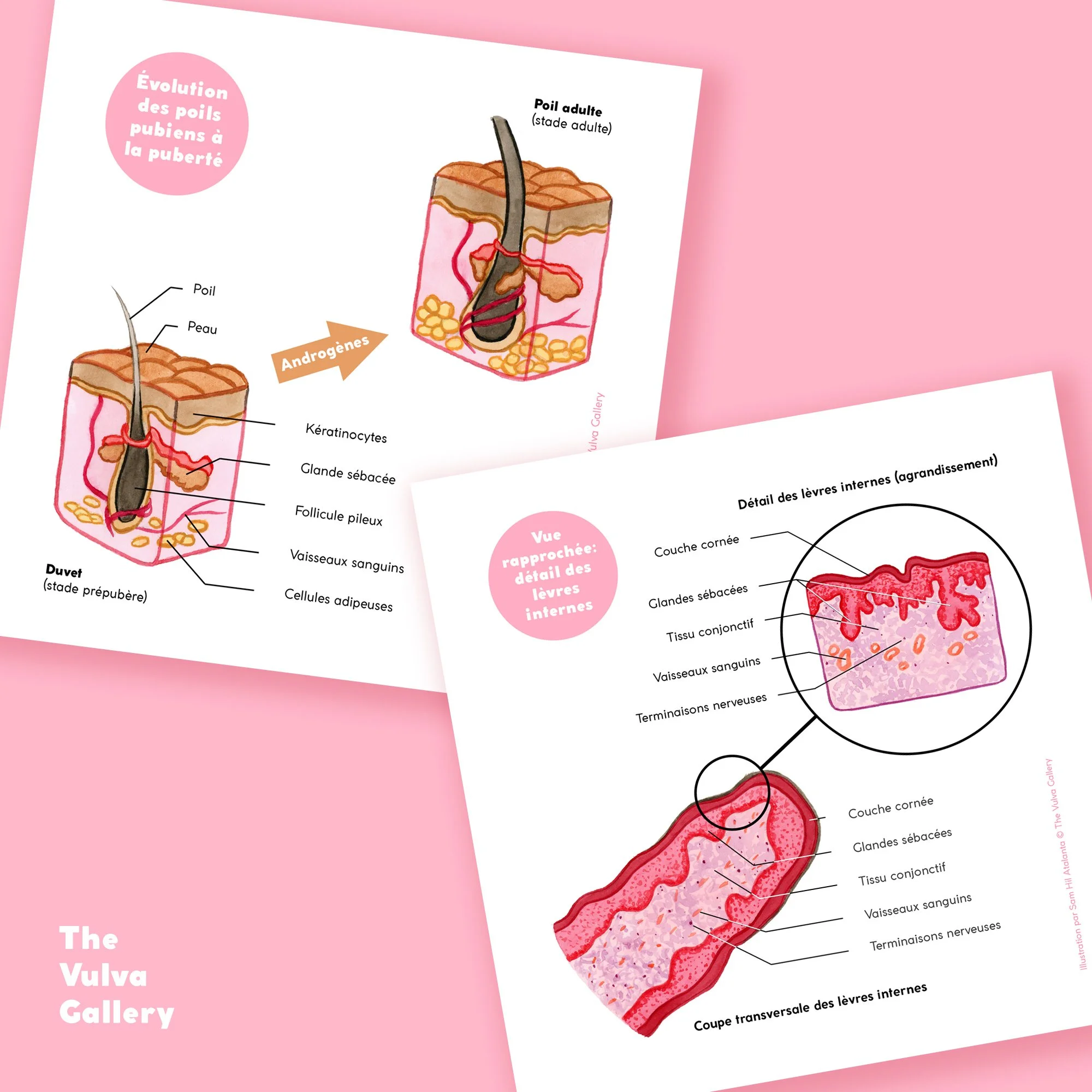 Education Print Set – Image 4 – French.jpg