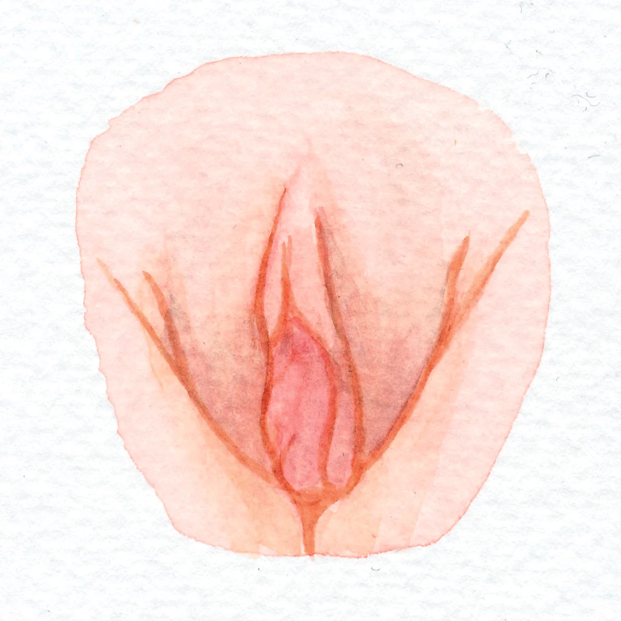 The Vulva Gallery - Vulva Portrait #4.jpg