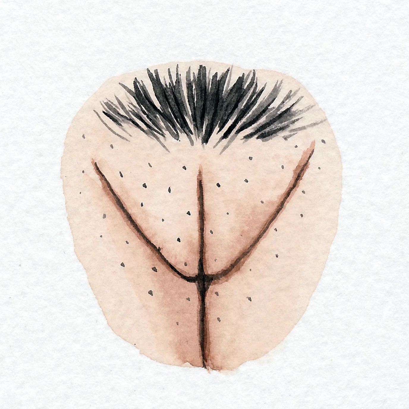 Vulva Gallery Brown187.jpg