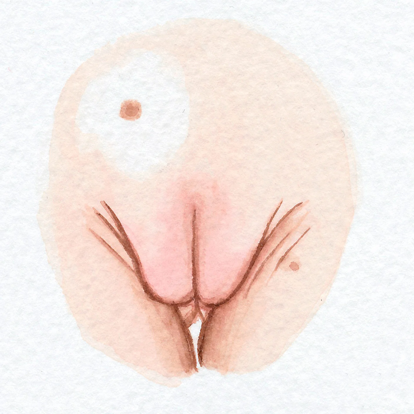 The Vulva Gallery - Vulva Portrait #15.jpg