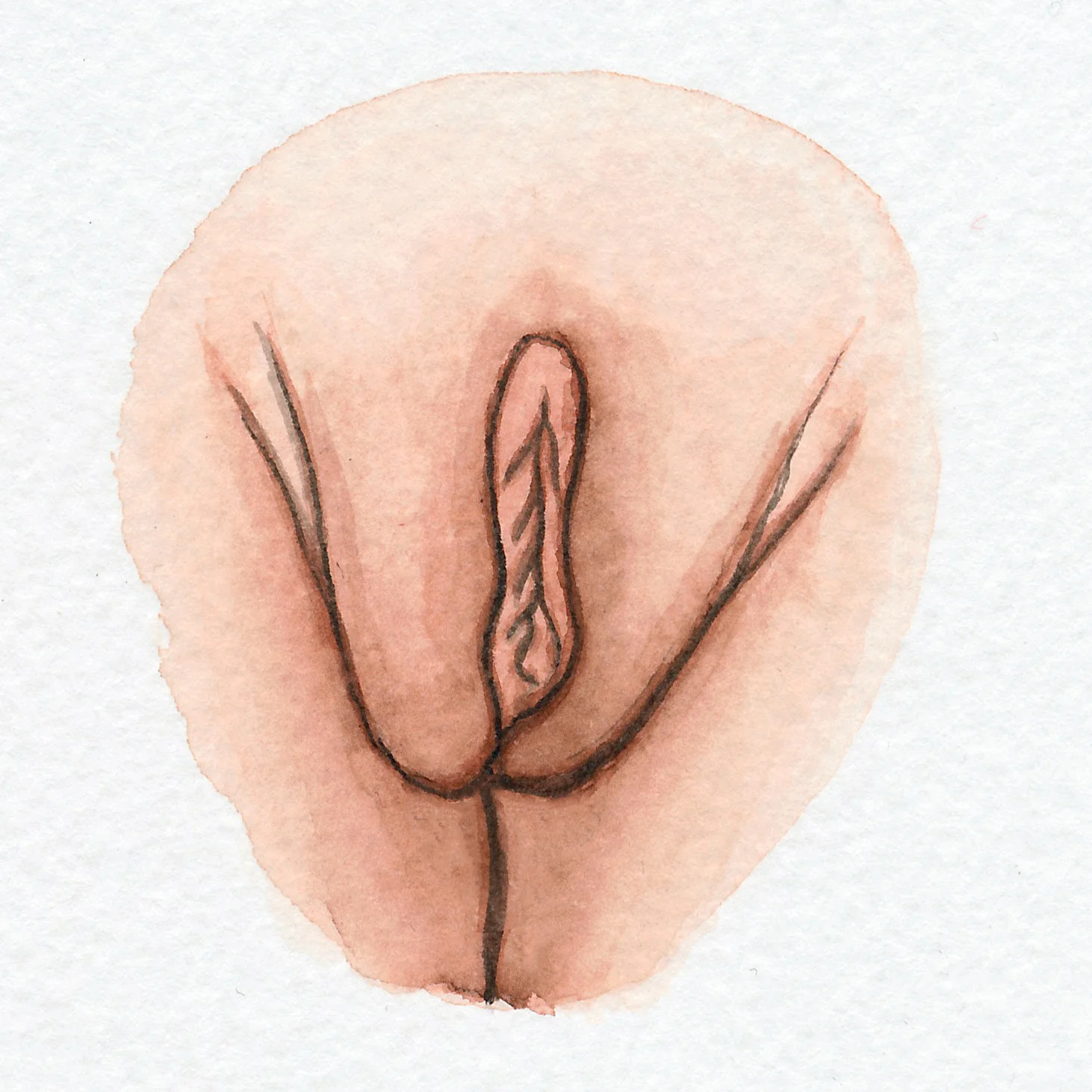 Gigantic Vulva