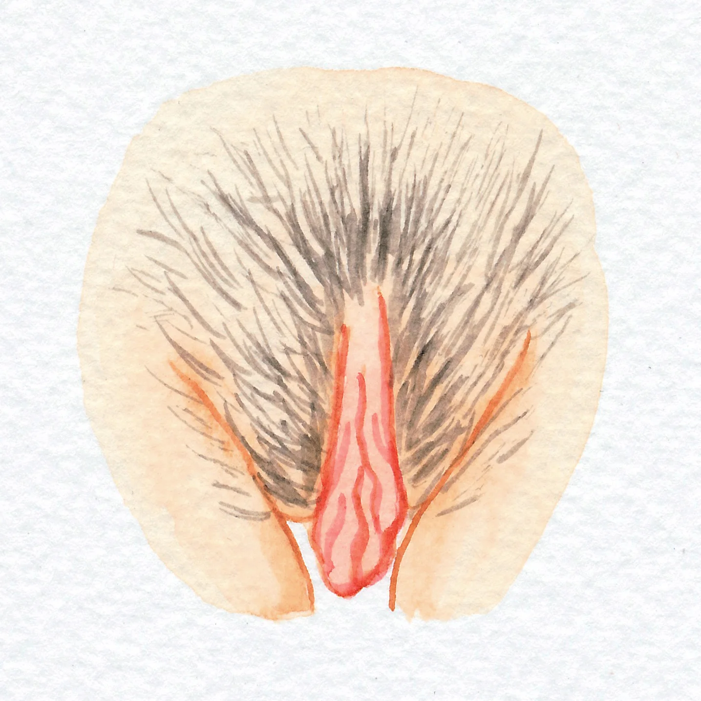 The Vulva Gallery - Vulva Portrait #5.jpg