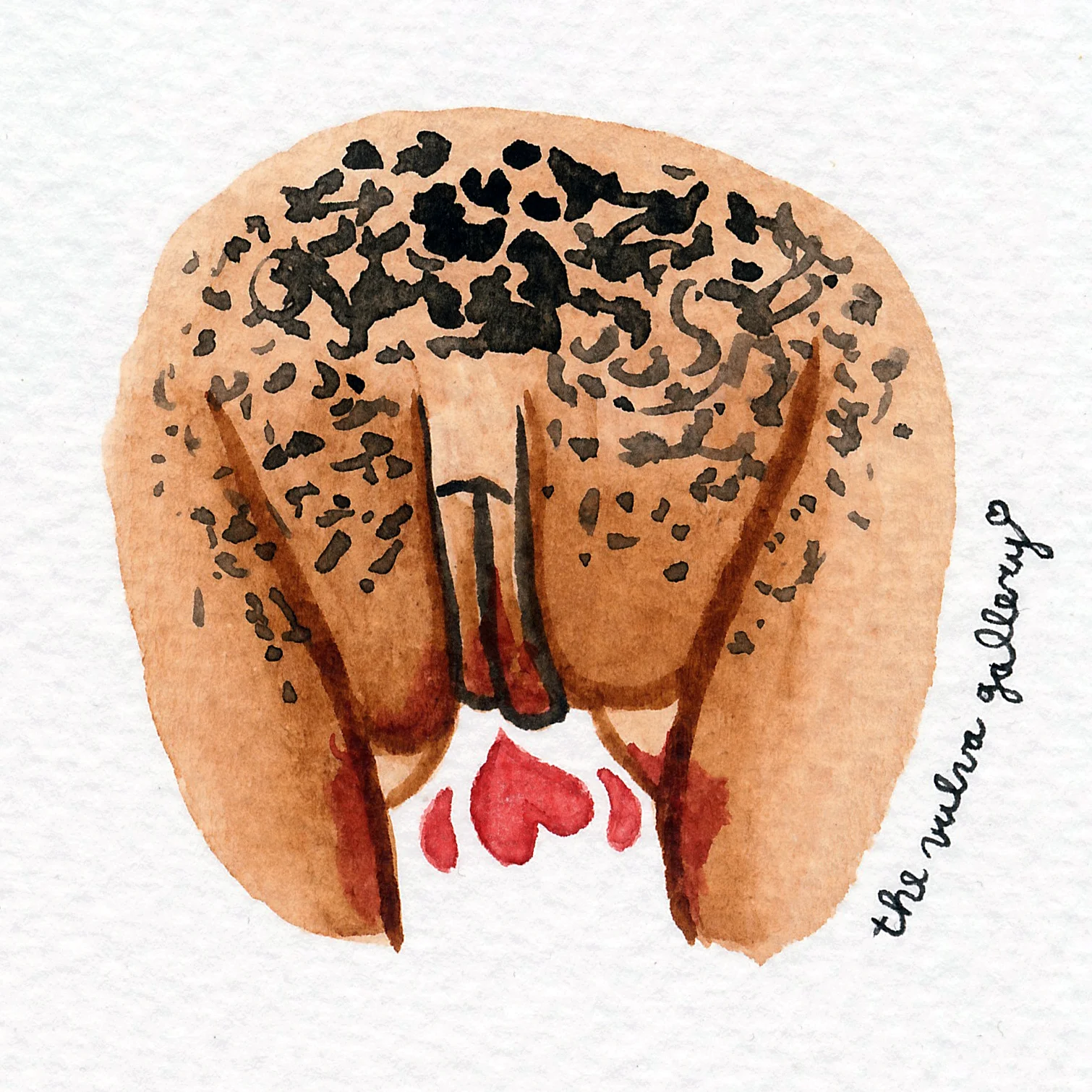 Vulva Gallery Brown179.jpg